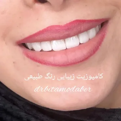 نمونه کار